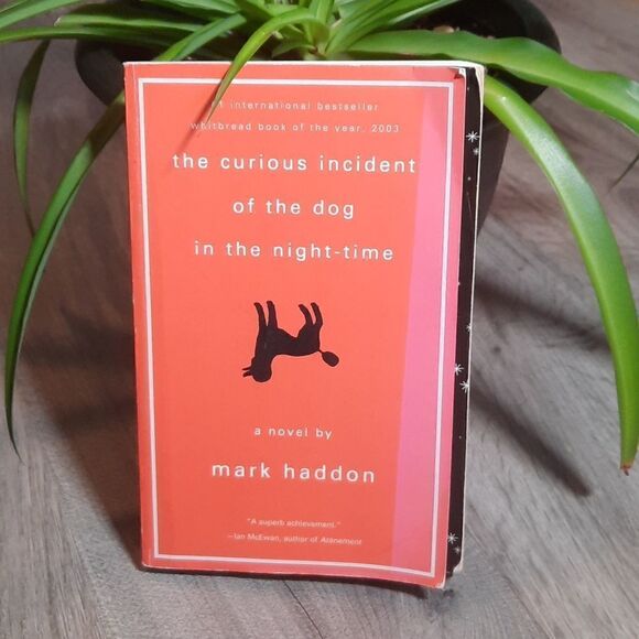 The Curious Incident Of The Dog In The Night-time By Mark Haddon - Picture 4 of 5